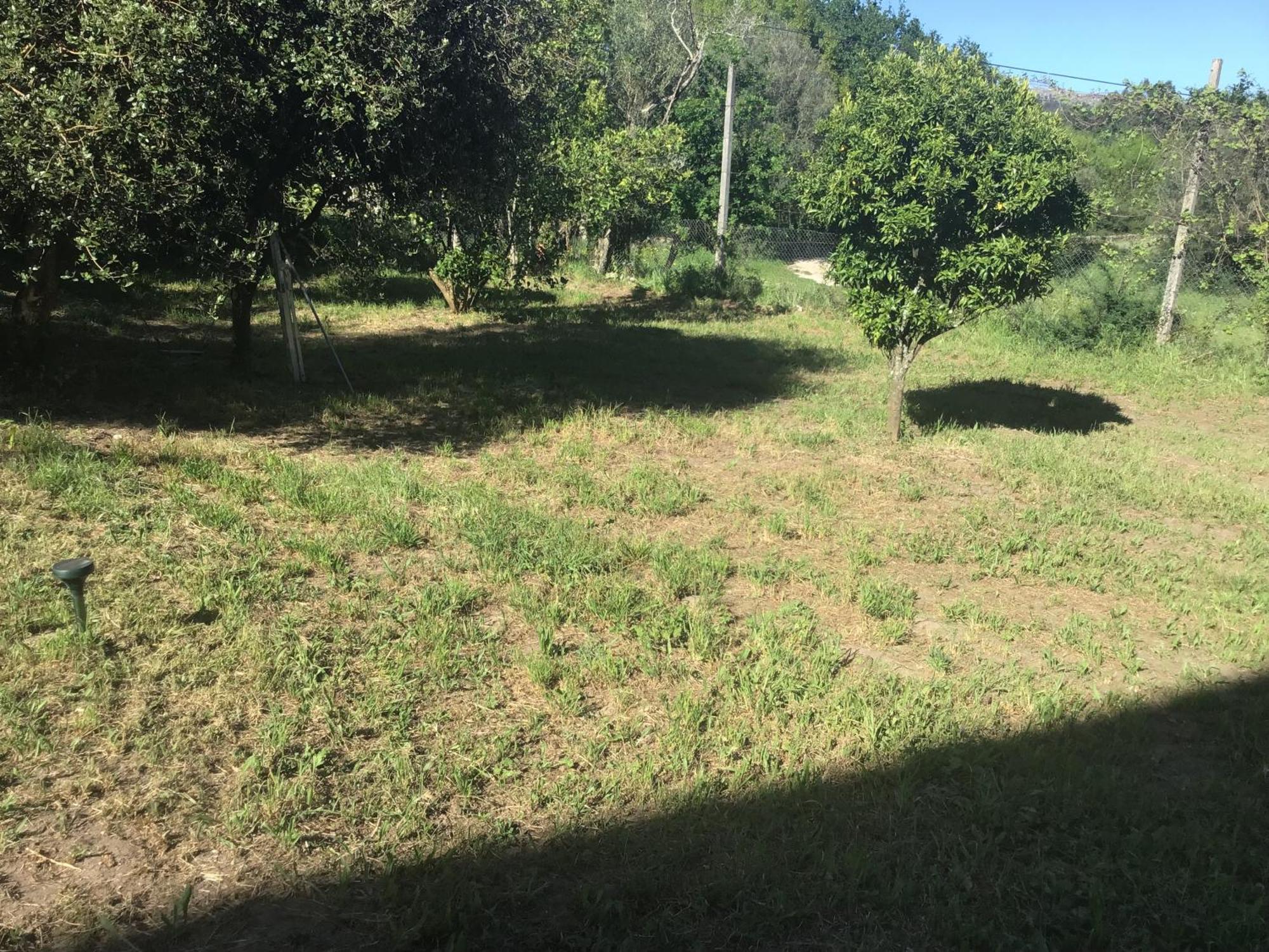 Вілла Quinta Dos Trilhos Фафі Екстер'єр фото