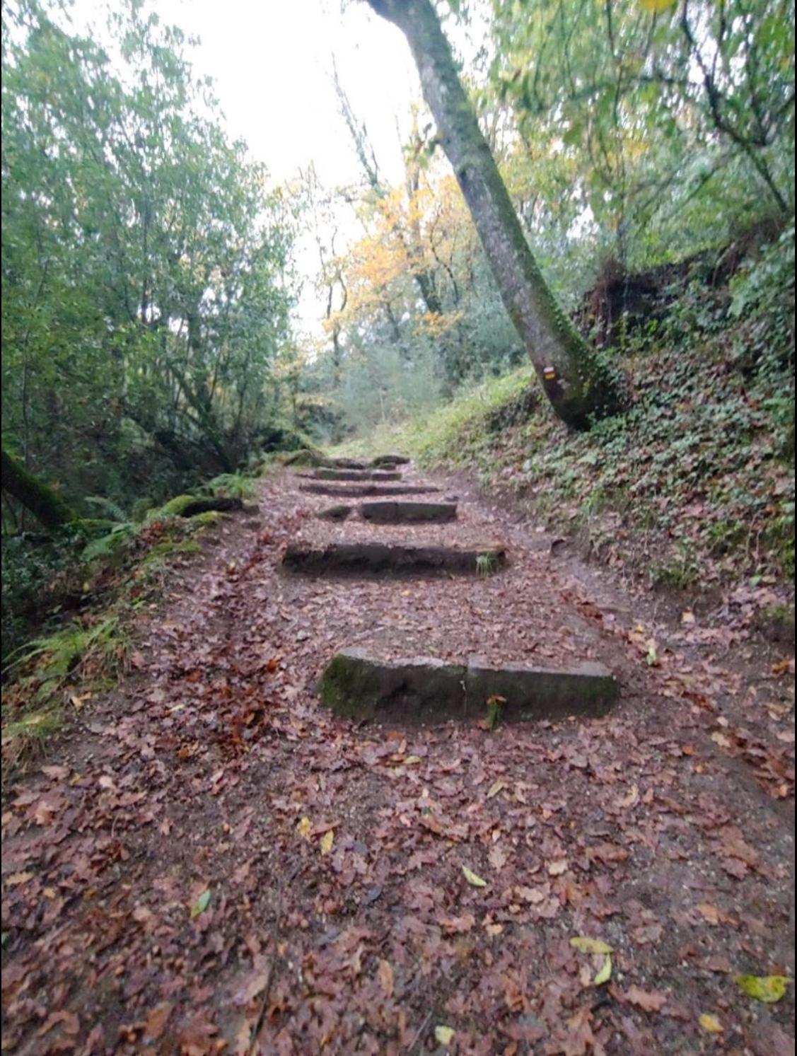 Вілла Quinta Dos Trilhos Фафі Екстер'єр фото
